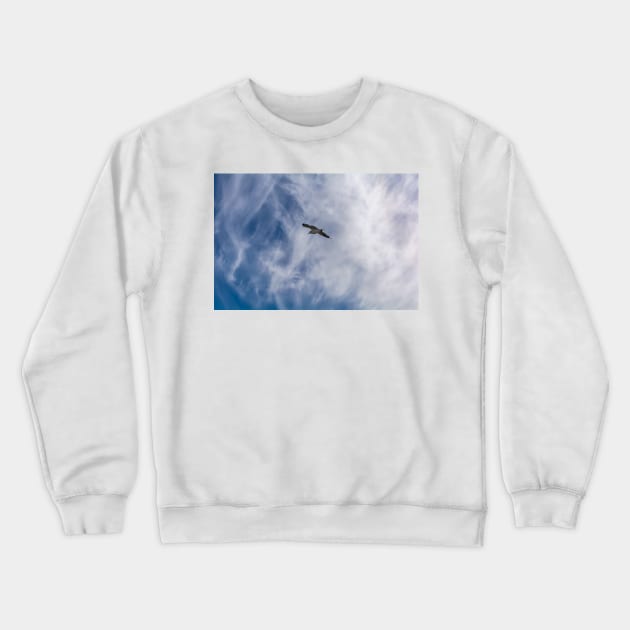 White seagull flying in bright blue sky Crewneck Sweatshirt by lena-maximova